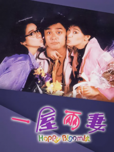 一屋两妻 一屋两妻