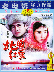 北国红豆 北国红豆