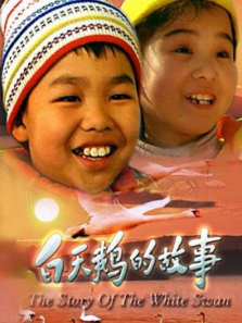 白天鹅的故事 白天鹅的故事