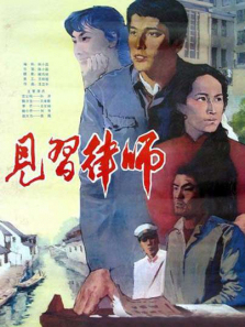 见习律师 见习律师