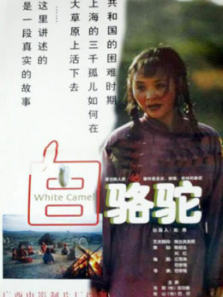 白骆驼 白骆驼