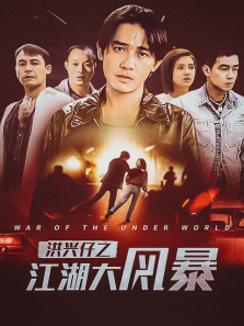 洪兴仔之江湖大风暴 洪兴仔之江湖大风暴