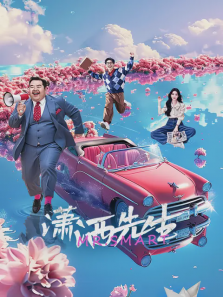 潇洒先生 潇洒先生