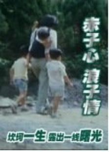 赤子心浪子情 赤子心浪子情