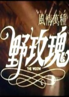 风情万种野玫瑰微电影 风情万种野玫瑰微电影