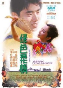 绿色柔情 绿色柔情