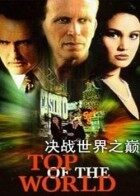 决战世界之巅完整版