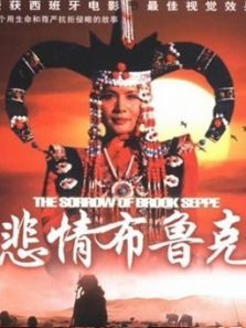 悲情布鲁克 悲情布鲁克