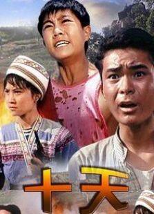 十天完整版