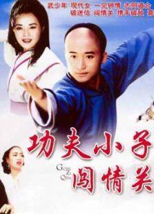 功夫小子闯情关完整版