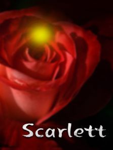 乱世佳人续集斯嘉丽2 乱世佳人续集斯嘉丽2