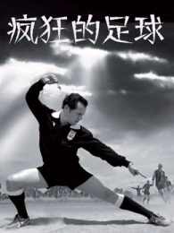 ��������2013