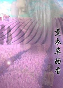 薰衣草的香 薰衣草的香