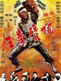 《独臂拳王1972》海报