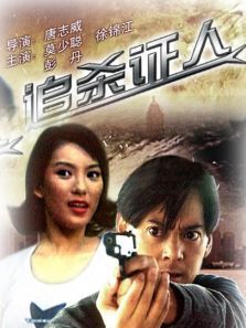 追杀证人 追杀证人