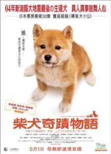 忠犬八公物语 忠犬八公物语