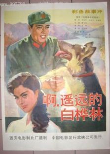 白桦林中的哨所 白桦林中的哨所