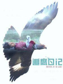 追鹰日记普通话版完整版