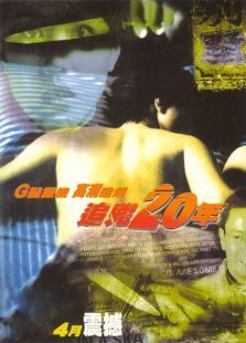 追凶20年 追凶20年