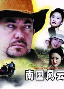 护宝情侠完整版