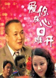 爱你在心口难开2001完整版