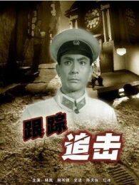 《跟踪追击》海报