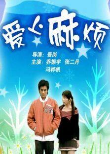 爱上麻烦完整版
