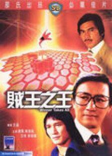 贼王之王完整版