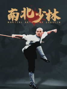 南北少林 南北少林