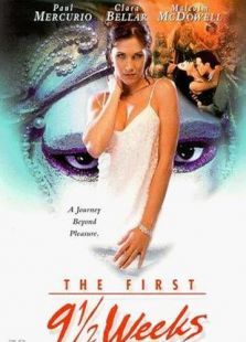 九个半星期 九个半星期