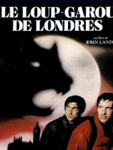 �����������׶�