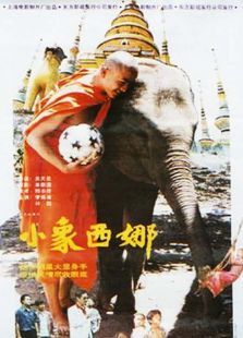 小象西娜 小象西娜