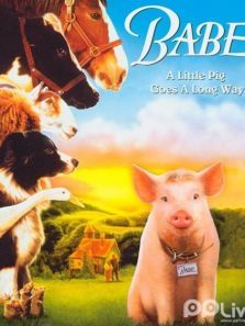 猪宝贝宝贝小猪罗 猪宝贝宝贝小猪罗