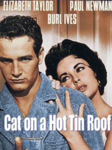 朱门巧妇(译制配音版) 朱门巧妇(译制配音版)