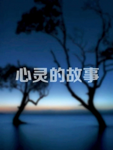 ����Ĺ���