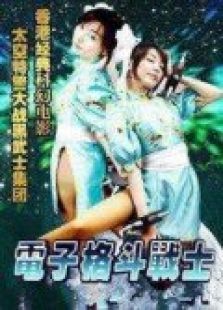 电子格斗战士 电子格斗战士