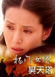 杨门女将昊天塔完整版