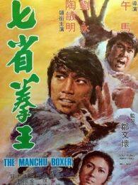 《七省拳王1974》海报