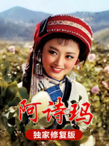 ��ʫ������޸���