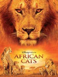 《非洲大猫》海报