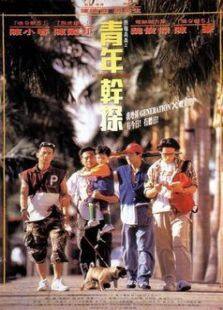 点指兵兵之青年干探完整版