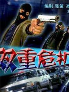 双重危机下集 双重危机下集