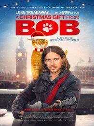 流浪猫鲍勃2鲍勃的礼物 海报
