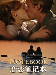 �����ʼǱ���ͨ��