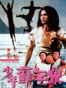 少年苏乞儿 少年苏乞儿