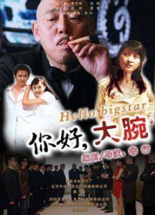 你好大腕完整版