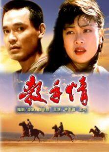 杀手情完整版