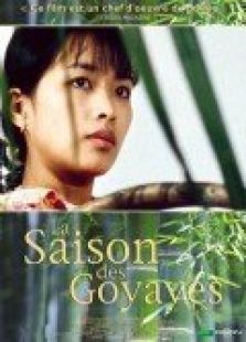 番石榴熟了 番石榴熟了