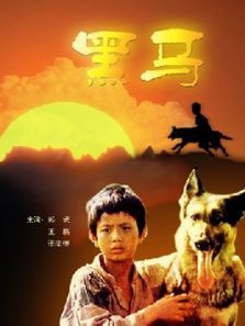 黑马1989 黑马1989