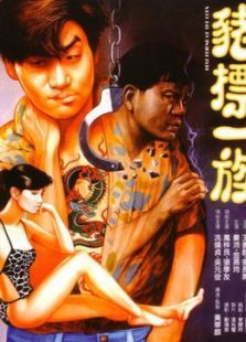 猪标一族 猪标一族